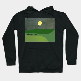 Hawk Soaring Hoodie